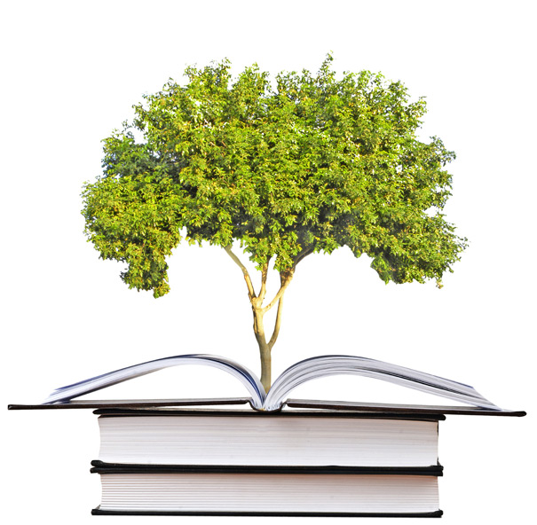 knowledge tree
